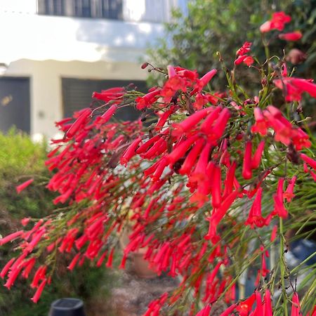 فيلا Natalia'S Townhouse, Margarita Gardens 003 بافوس المظهر الخارجي الصورة