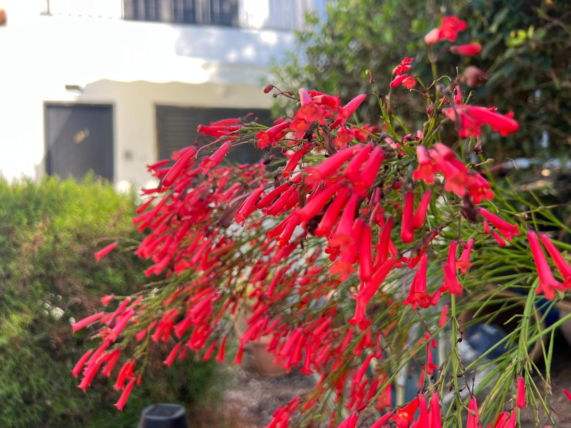 فيلا Natalia'S Townhouse, Margarita Gardens 003 بافوس المظهر الخارجي الصورة